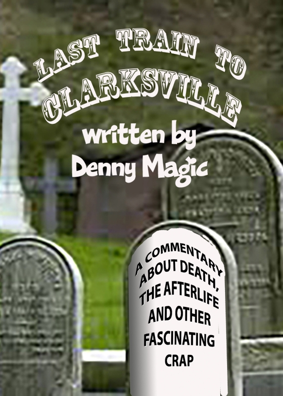 last train to clarksville cover